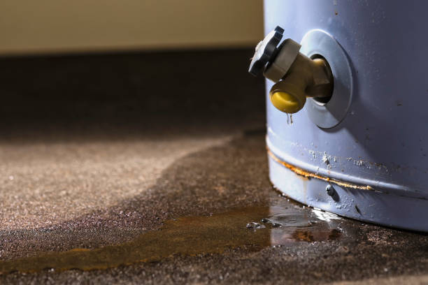Best Ceiling water damage repair  in Allouez, WI