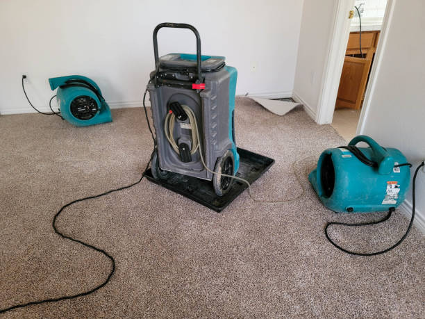 Best Local water damage restoration  in Allouez, WI