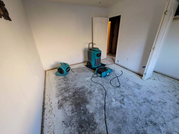 Best Residential water damage restoration  in Allouez, WI