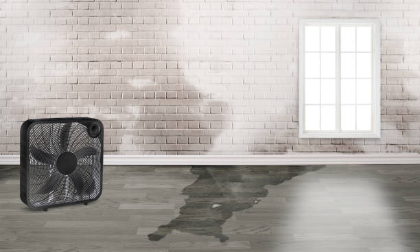 Water damage restoration insurance claims in Allouez, WI