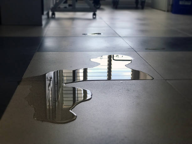 Professional Water damage restoration in Allouez, WI