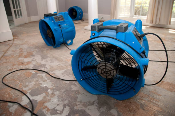 Best Local water damage restoration  in Allouez, WI