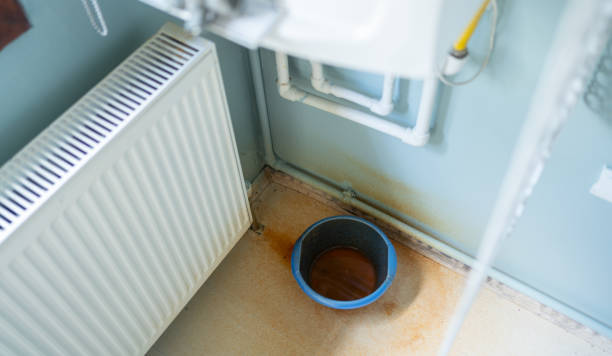 Best Flood restoration services  in Allouez, WI