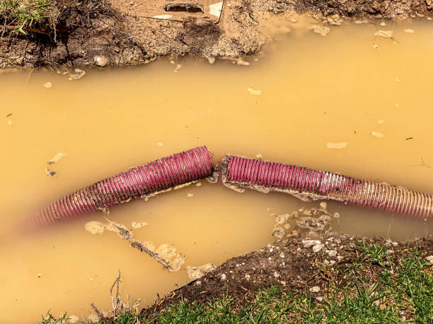 Best Water damage restoration company  in Allouez, WI