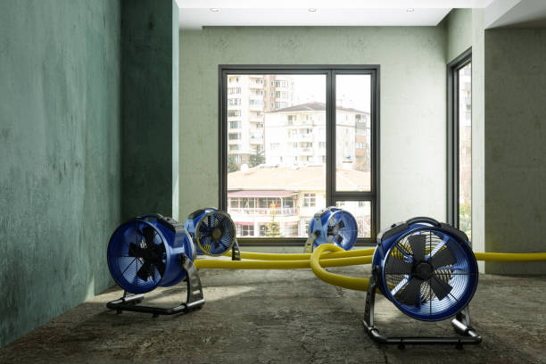 Best 24/7 water damage repair  in Allouez, WI
