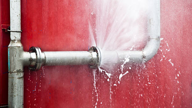 Best Flood damage cleanup  in Allouez, WI