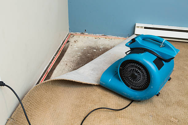 Best Fire Damage Restoration  in Allouez, WI